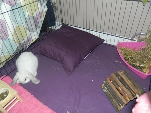 DSCN0721.JPG