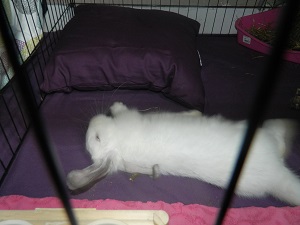 DSCN0725.JPG