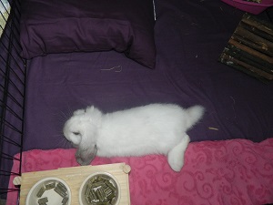 DSCN0726.JPG