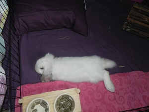 DSCN0727.JPG