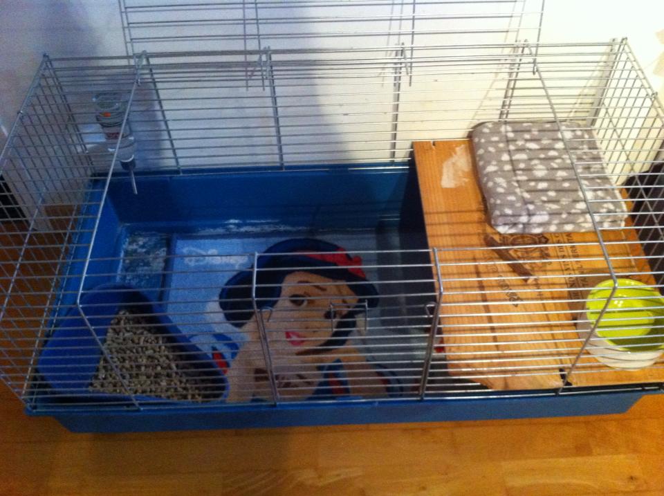 cage blanche neige.jpg