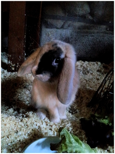 2013-09-24 10.44.jpg