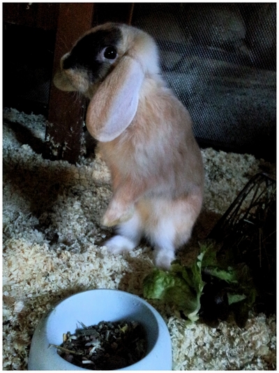 2013-09-25 12.31.jpg