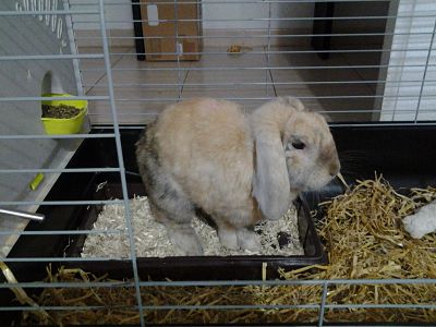 20130929_191850_opt.jpg