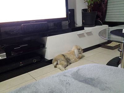 20130929_204332_opt.jpg