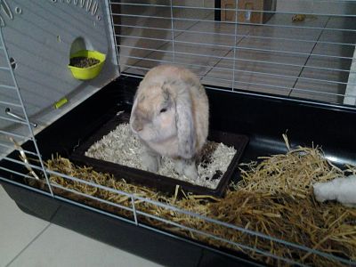 20130929_191842_opt.jpg