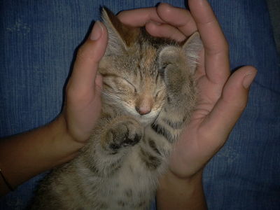 2011-07-19 22_opt.jpg