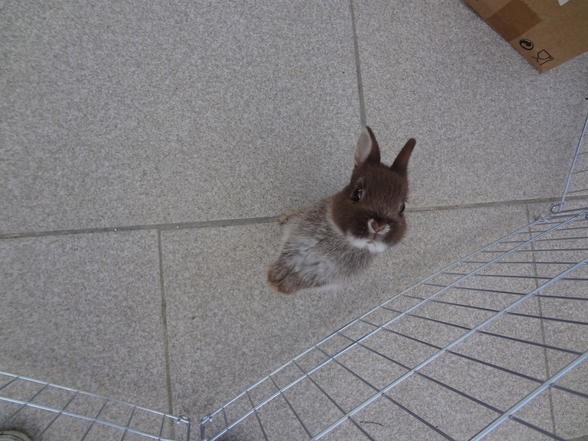 DSC02134.jpg