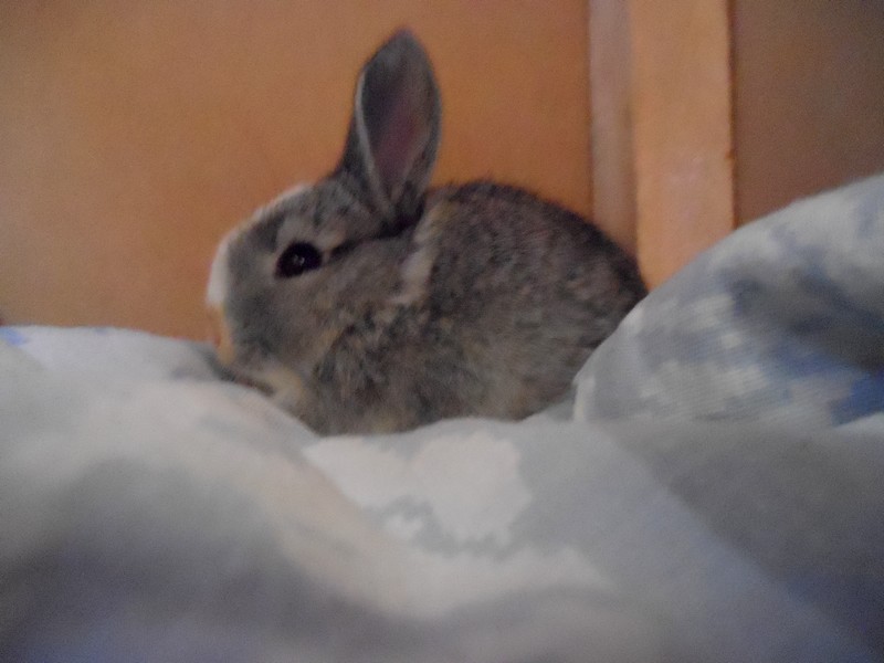 DSCN0339.JPG