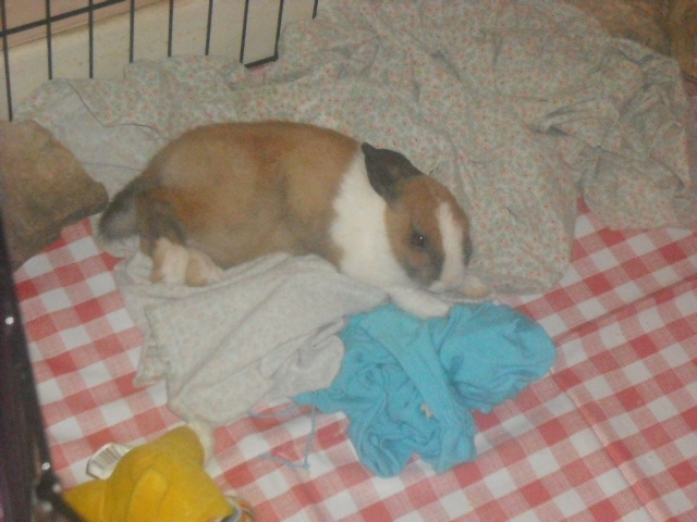 DSCF7210.JPG