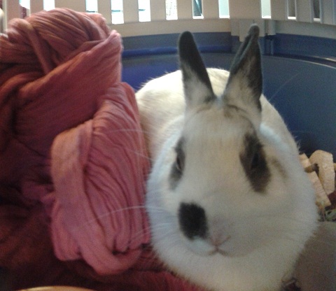 20131230_153636.jpg