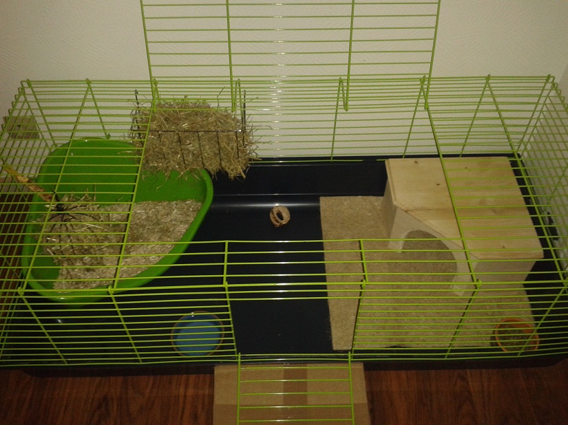 20140112_170352.jpg