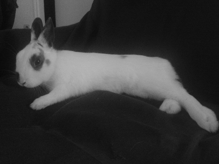 20140115_201654.jpg