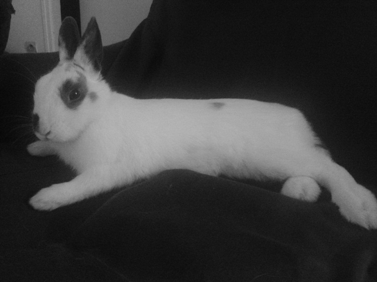 20140115_201618.jpg