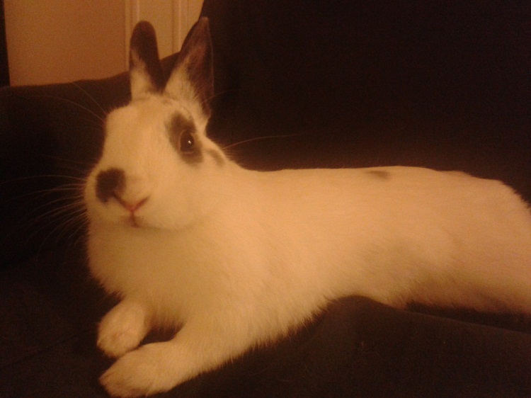 20140115_201203.jpg