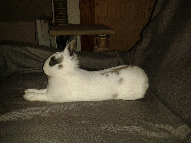20140114_213238.jpg