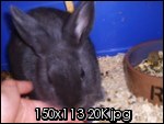 moimalapineetlalife003.th[1].jpg