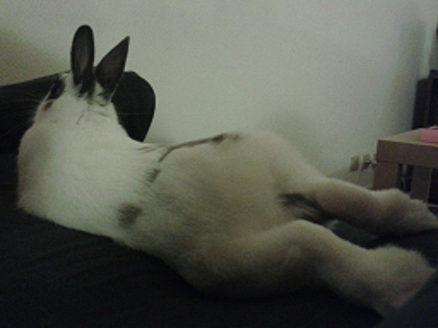 20140124_214246.jpg