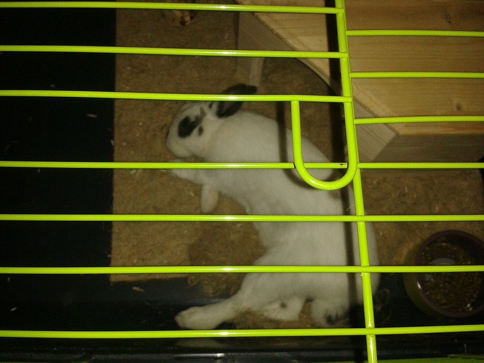 20140125_143922.jpg