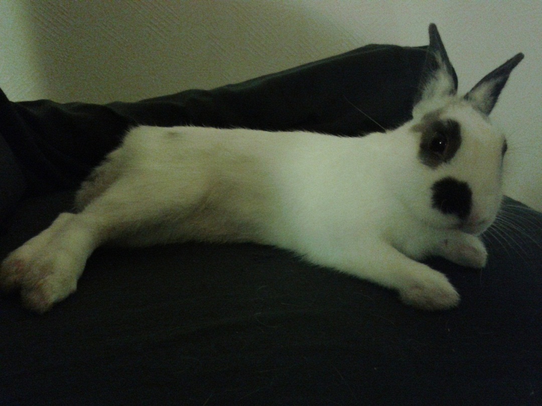 20140125_224644.jpg