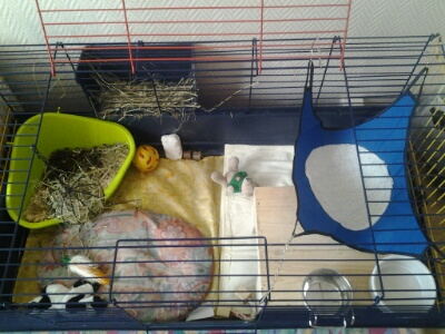 cage1.png