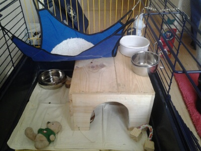 cage3.png