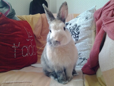 20140304_103454.jpg
