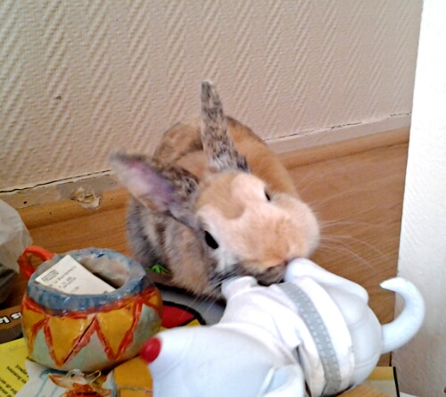 20140305_105500.jpg