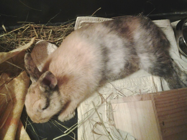 20140305_195755.jpg