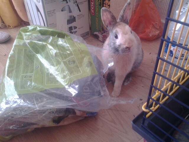 20140308_112006.jpg