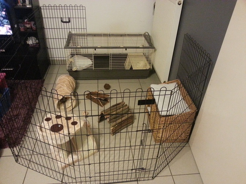20140311_203649.jpg