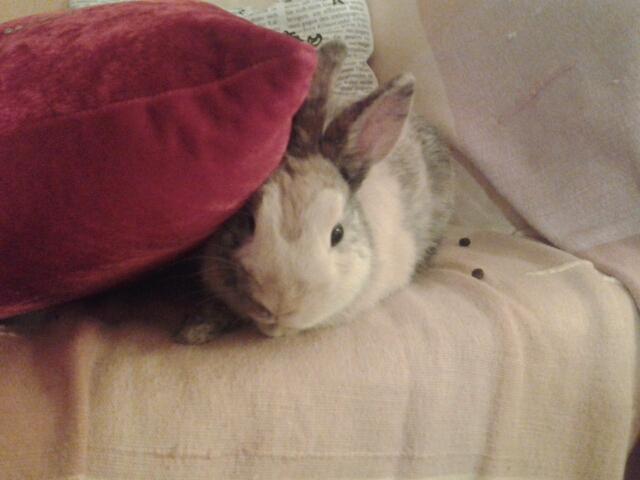 20140313_211643.jpg