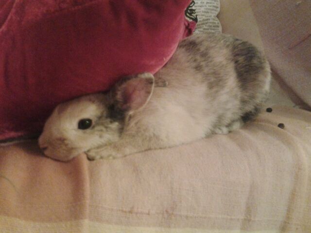 20140313_211627_20140315090910465.jpg