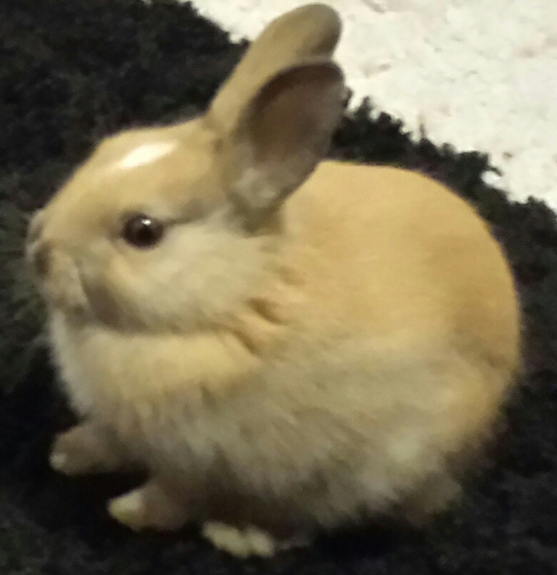 20131006_221750-1-1.jpg