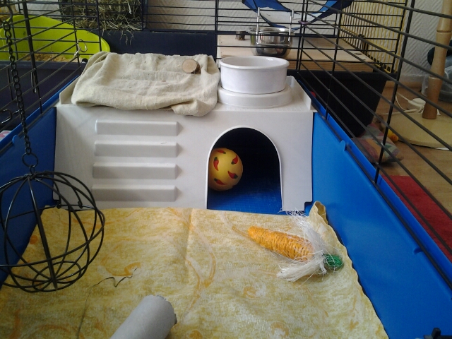 20140316_121114.jpg