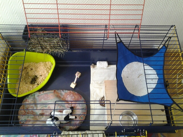 20140316_121950.jpg
