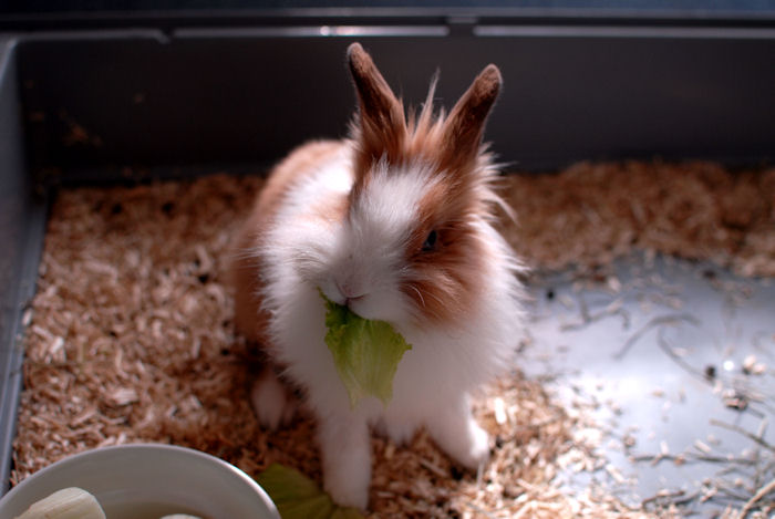 MAX_0417.JPG