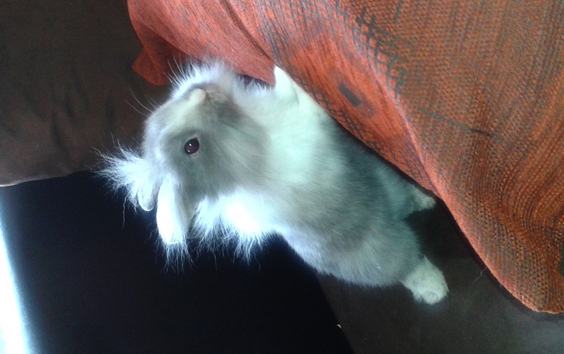20140401_165839.jpg