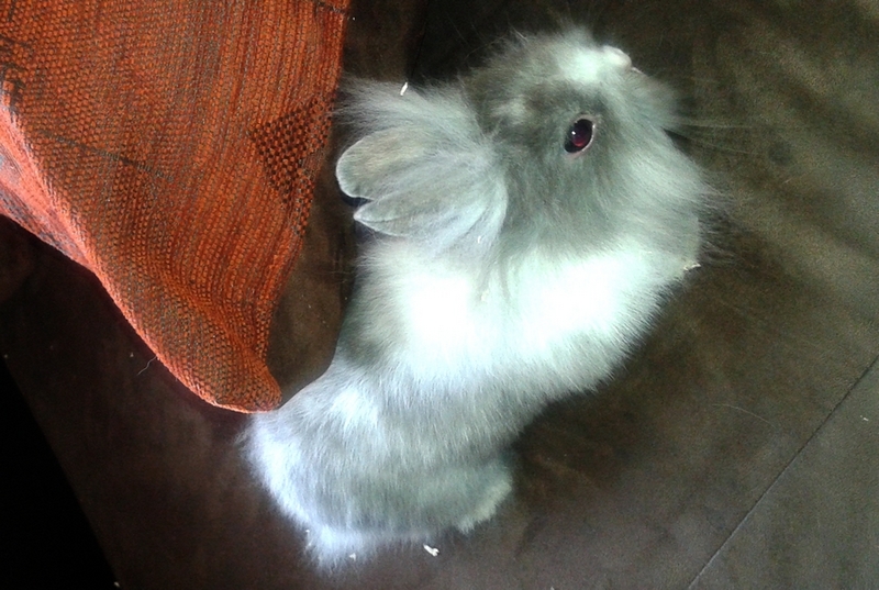 20140401_165913.jpg