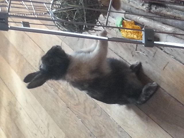 20140331_154555.jpg