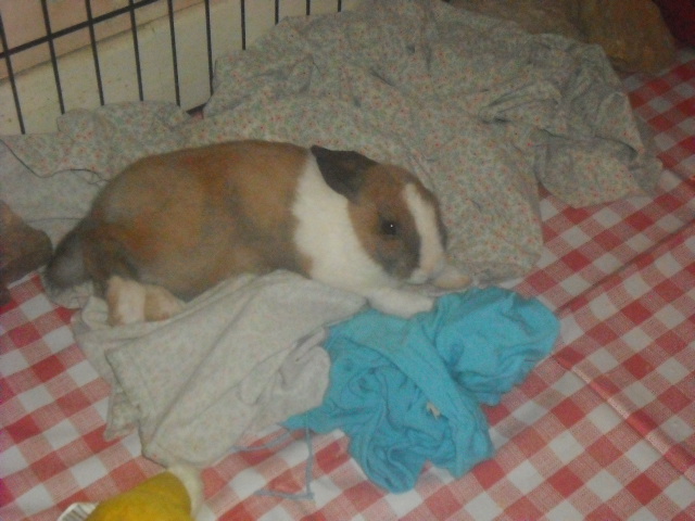 DSCF7212.JPG