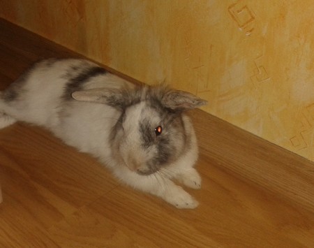20140119_190406.jpg