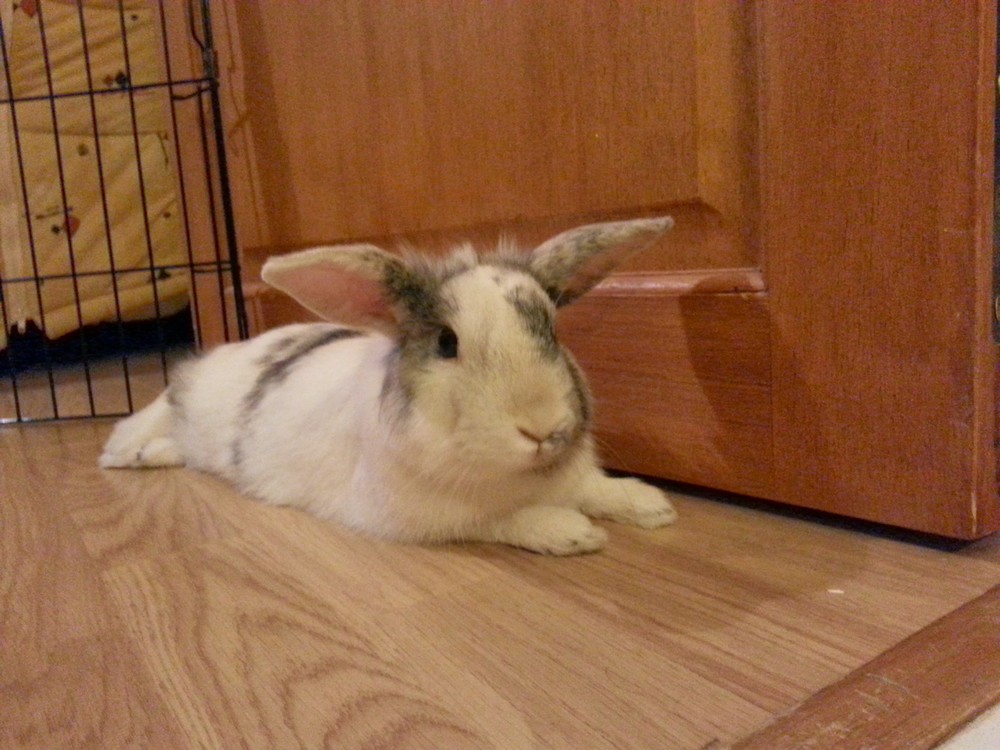 20140316_192256.jpg