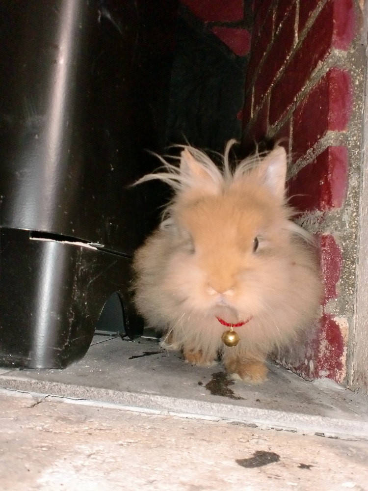 CIMG4035.JPG