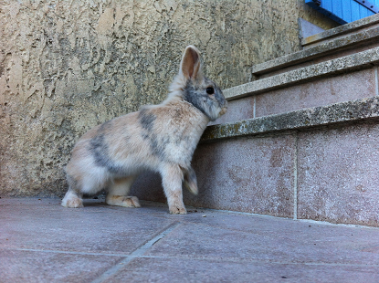 IMG_1326.png