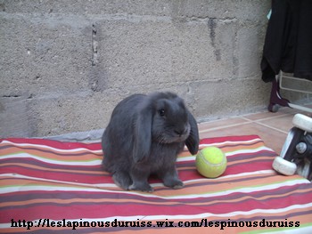 nugget 001.JPG