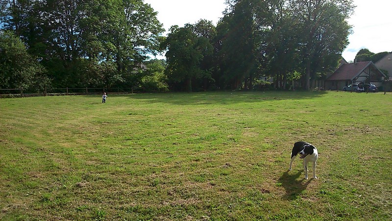 photo pré lulu.jpg