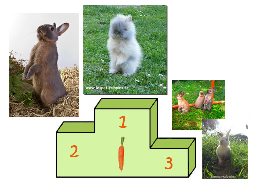concours_podium_02.jpg