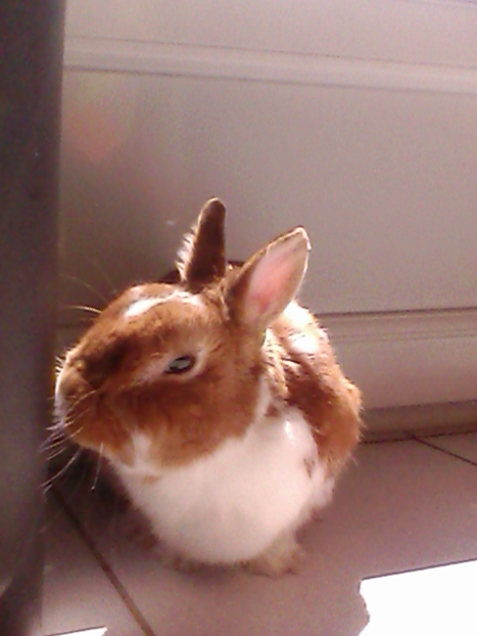 IMG1783A.jpg