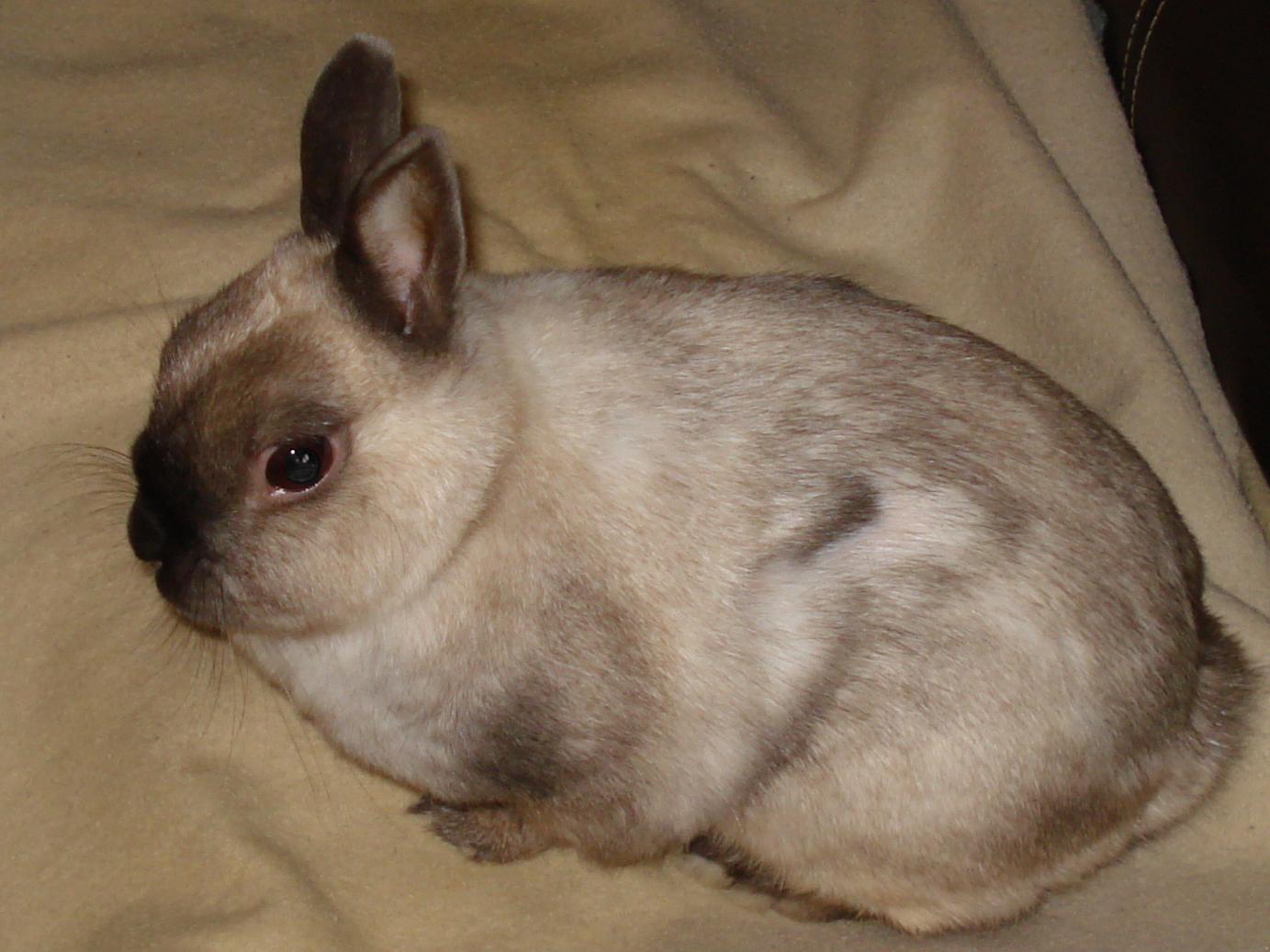 Dsc01495 A.jpg